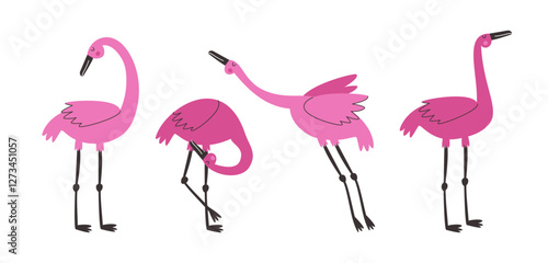 Pink flamingos in different poses on white background. Exotic birds drawn by hand.
