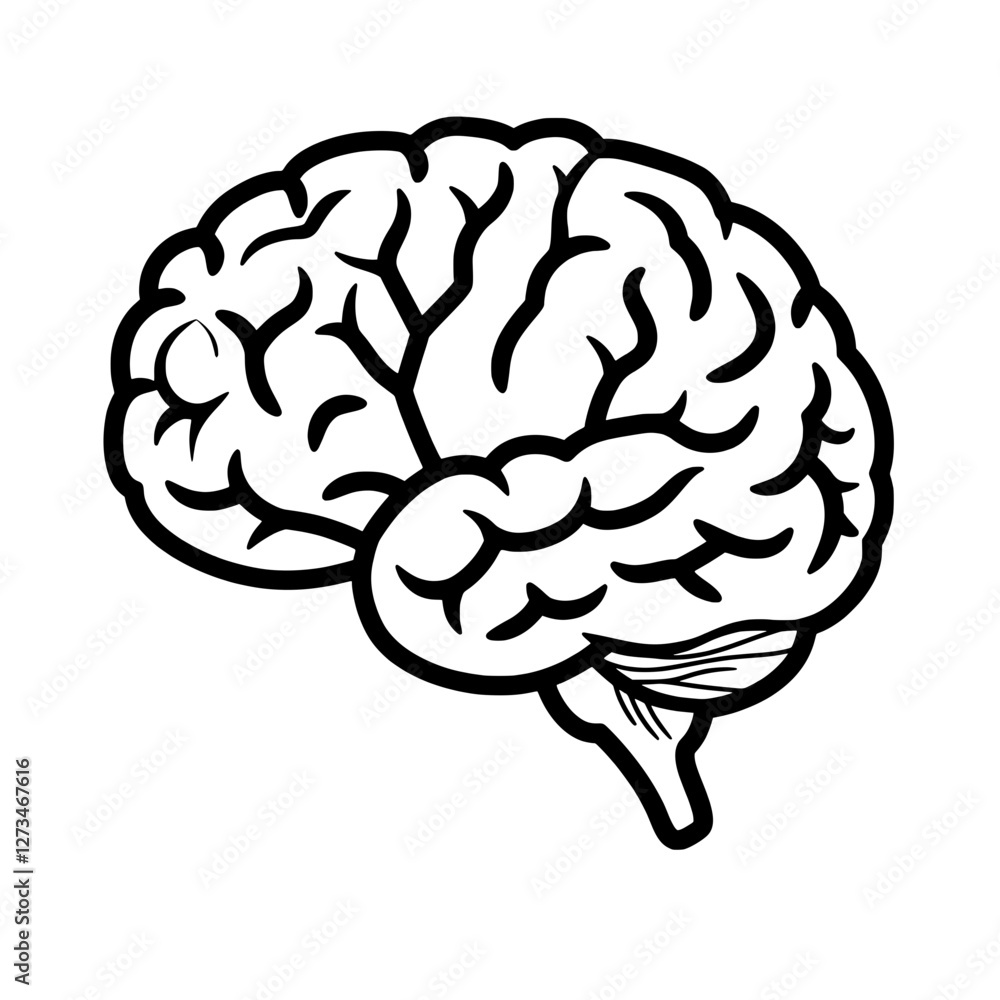 The intricate design of the human brain, presented in a stark black and white illustration The intricate design of the human brain, presented in a stark black and white illustration
