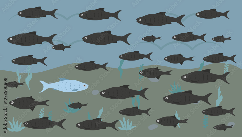 Concept of courage, confidence, success, crowd and creativity. Opposite of the same one unique fish. Concept of courage, confidence, success, crowd and creativity. Opposite of the same one unique fish.