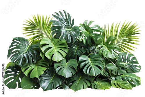 Lush Tropical Monstera Leaves: A Vibrant, Ten-Inch Bush of Exotic Foliage, Perfect for Adding a Touch of Paradise to Your Designs. Ideal for backgrounds, textures, and vibrant tropical themes.        