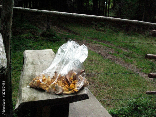 Chanterelles in plastic bag on table photo