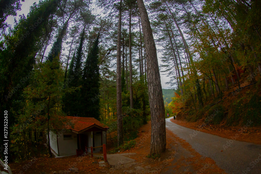 Ayazma Pınarı Nature Park is located in the Bayramiç district of Çanakkale, at the foothills of the Kaz Mountains and attracts attention with its natural beauty. Ayazma Pınarı Nature Park is located in the Bayramiç district of Çanakkale, at the foothills of the Kaz Mountains and attracts attention with its natural beauty.