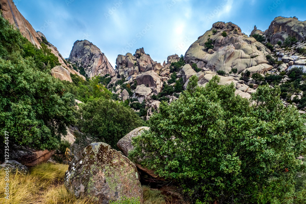 Bushes, cistus and granite and Yelmo cliff on the background in The Pedriza Bushes, cistus and granite and Yelmo cliff on the background in The Pedriza
