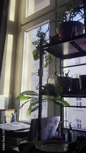 window view plants green house 