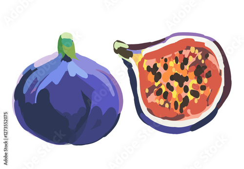 Realistic vector illustration of ripe fig fruit and slice. Watercolor or oil painting style hand drawn illustration. Mediterranean design elements for invitations, greeting cards, prints, posters.