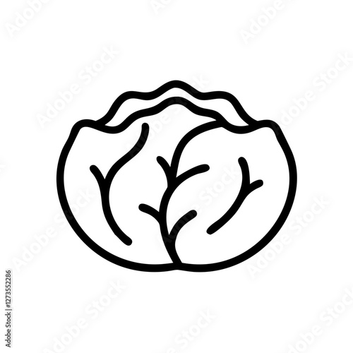 Icon of cabbage outline on a transparent background for food concept
