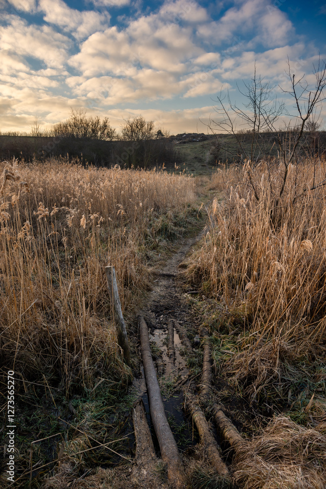 Obraz premium LAndscape photography on the field with sunrise from the horizon , land and beautiful clouds on the sky , orange autumn colors, beautiful landscape , trees and sunlights 