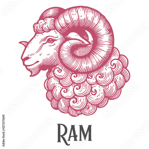 A hand-drawn illustration of a ram with symmetrical horns and detailed linework