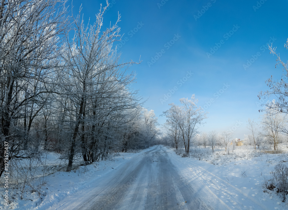 winter landscape. road in snow. tall trees in frost. natural winter landscape. forest in snow. ice on branches. snow and sun. walk in winter forest. sport in nature. seasons. symbol of time. winter landscape. road in snow. tall trees in frost. natural winter landscape. forest in snow. ice on branches. snow and sun. walk in winter forest. sport in nature. seasons. symbol of time.
