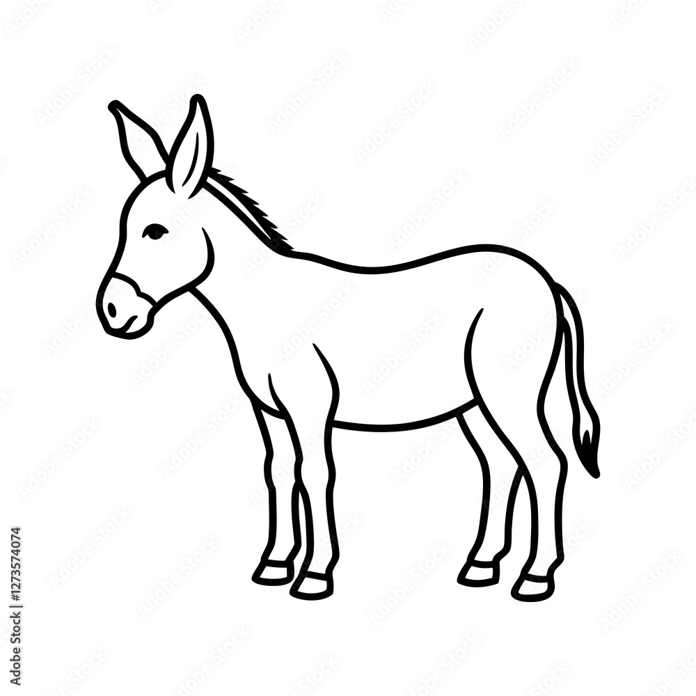 donkey isolated on white background