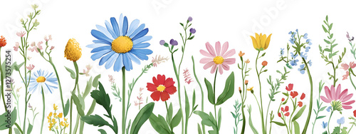 A detailed watercolor painting of white, blue, and yellow wildflowers on an isolated background with daisies