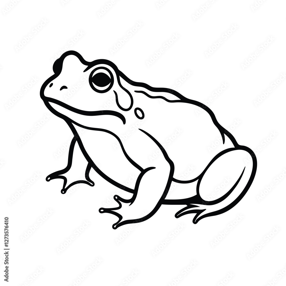 frog on white background frog on white background