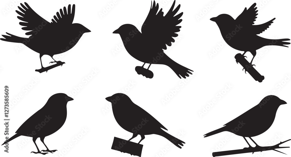 Obraz premium Sparrow silhouettes
