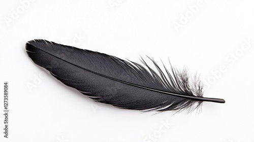 A single black crow feather resting on pure white