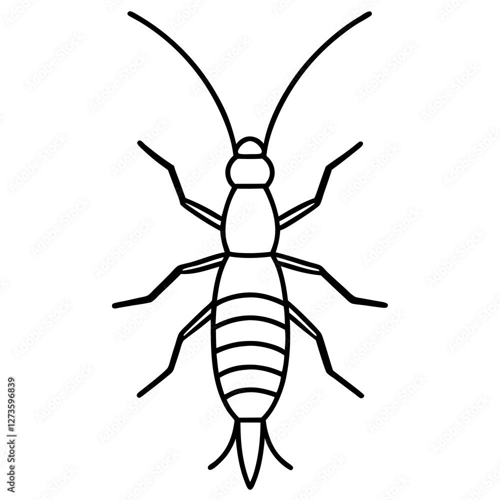 Minimalist Earwig Line Art Vector Minimalist Earwig Line Art Vector