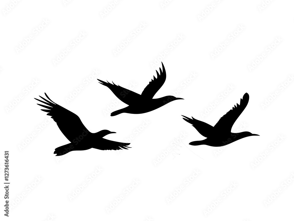 silhouette of three flying bird on isolated white background silhouette of three flying bird on isolated white background