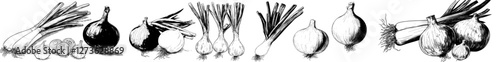 Collection of manually created single-color onion drawings in a sketch style, representing a contemporary illustration