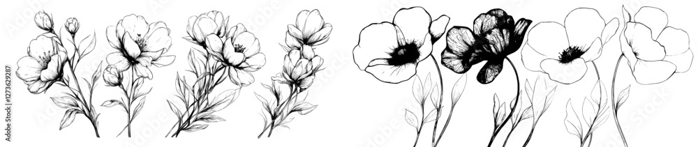 A collection of field flowers is depicted in a modern drawing featuring wild plants set against a white background, with monochrome line floral elements and a hand-drawn botanical illustration style A collection of field flowers is depicted in a modern drawing featuring wild plants set against a white background, with monochrome line floral elements and a hand-drawn botanical illustration style