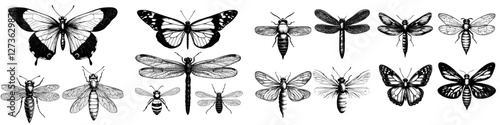 The illustration features insects such as butterflies, dragonflies, and bumblebees, presented in a simple hand-drawn line art style using beige, ochre, and brown ink, as part of a modern isolated EPS