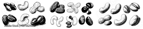 A hand drawn illustration set featuring a mix of beans, including red beans, green peas, soybeans, peanuts, pistachios, sunflower seeds, almonds, and macadamia nuts on a white background in a