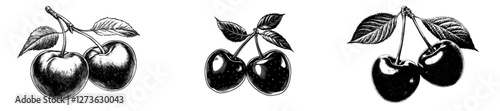 Quadro su tela Two cherries are featured alongside a leaf in an illustration that has been hand
