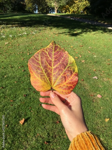 autumn leaves in hand