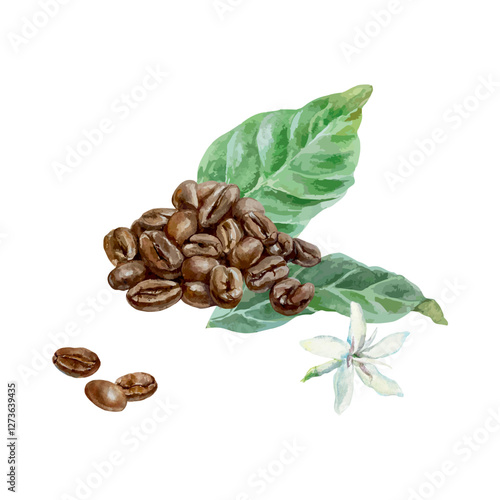 Coffee beans, roasted, leaves and flower of the plant, watercolor. Hand drawn vector illustration. For drink labels, postcards, invitations, posters for cozy cafes, large banners for shops.