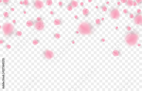 Vector falling petals png. Flying rose, sakura, or cherry blossom petals on a transparent background. Romantic background.