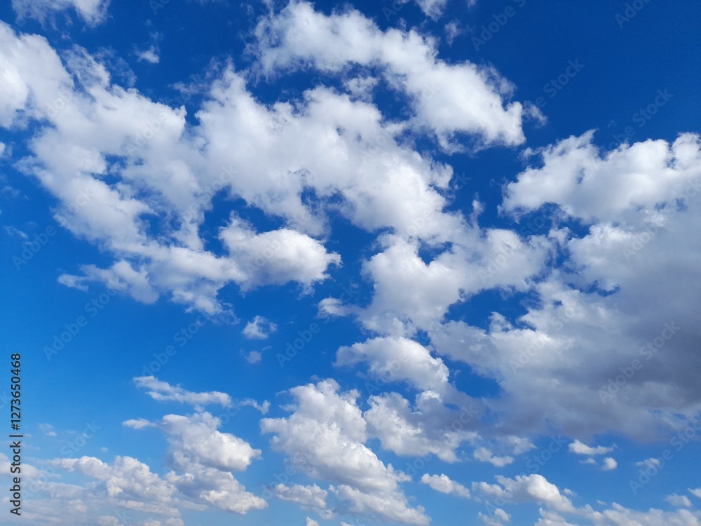 Fototapeta premium blue sky with clouds
