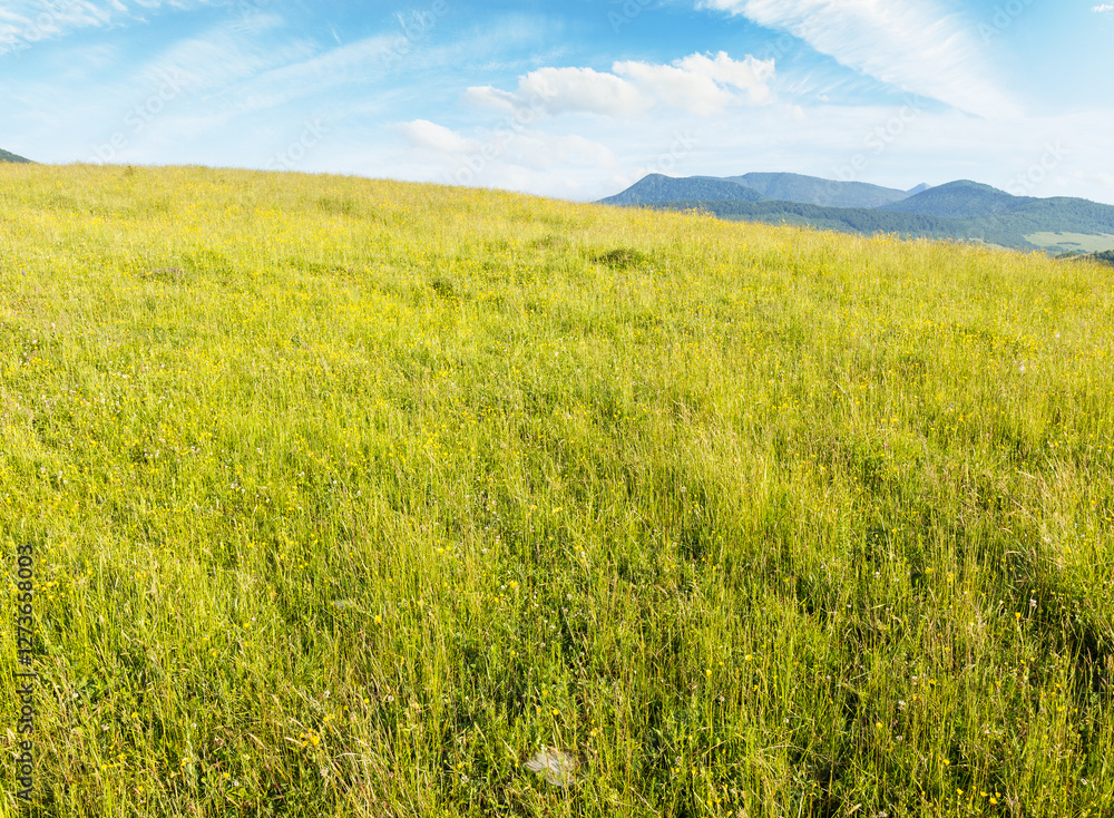 mountainous countryside landscape in summer. beautiful view. grassy meadow on top of a hill. distant mountain ridge in morning light. sunny weather with clouds on the blue sky. idyllic farmland