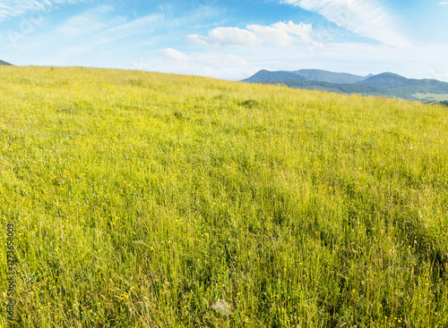 Obraz na płótnie mountainous countryside landscape in summer. beautiful view. grassy meadow on top of a hill. distant mountain ridge in morning light. sunny weather with clouds on the blue sky. idyllic farmland w salonie