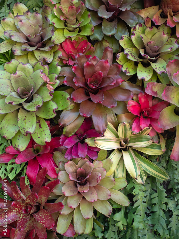 Beautiful Leaves pattern for nature Background.