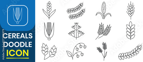 Cereals doodle including icon. Wheat icon collection. Cereal sketch, healthy breakfast food, pearl millet, agriculture, barley, rice, maize, timothy grass, buckwheat, nature. Vector illustration.