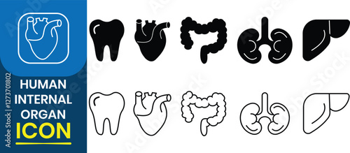 Human internal organs icons set. Human internal organ vector collection. Liver, tooth,  Heart, kidney, Urinary System, large intestine  and other anatomy parts. Vector Illustration.