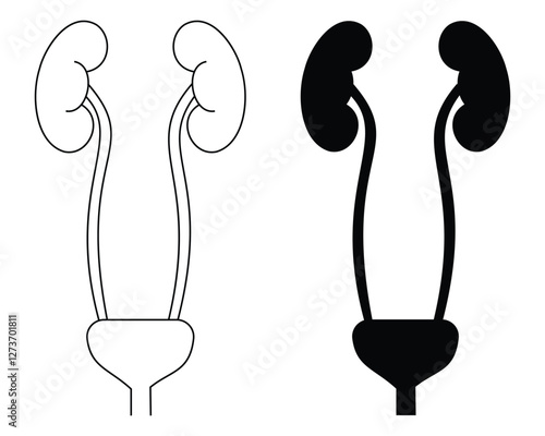 Human urinary icon set. Human urinary bladder system with kidneys, ureters and bladder sign.  Anatomical Healthy Internal organs.  Urology Disease icon. Vector Illustration.