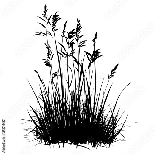 Silhouette grass illustration plant vector