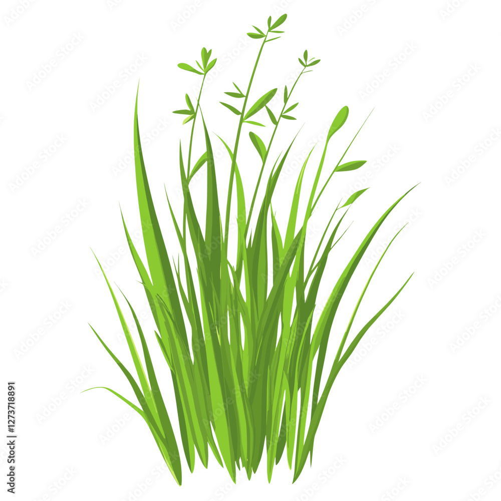 Green grass with tiny flower illustration plant art vector