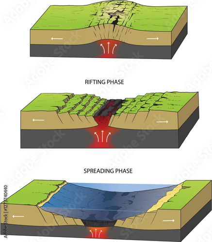 illustration of continental rifting phase diagram