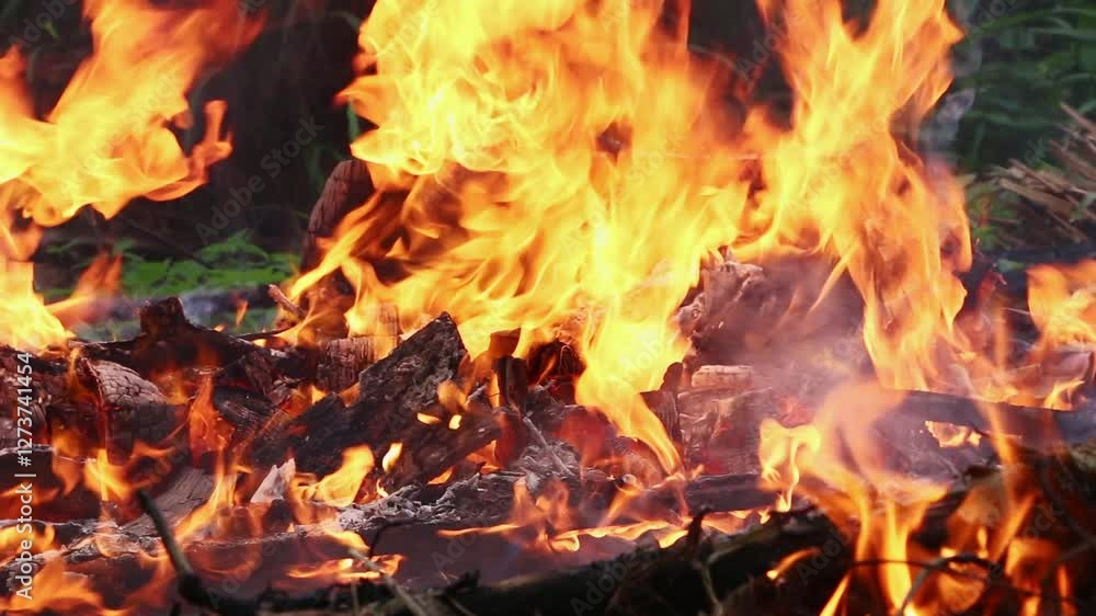 Fire Burns with moving flames and smoke
Fire Burns with moving flames and smoke