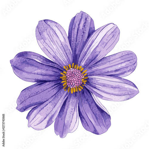 Lavender color flower illustration drawing purple vector
