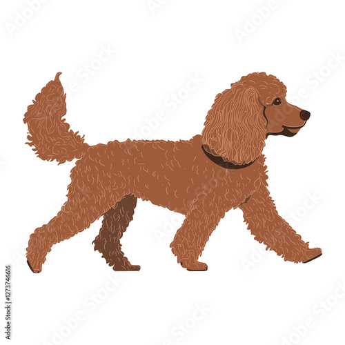 Brown Poodle dog poodle illustration walking vector