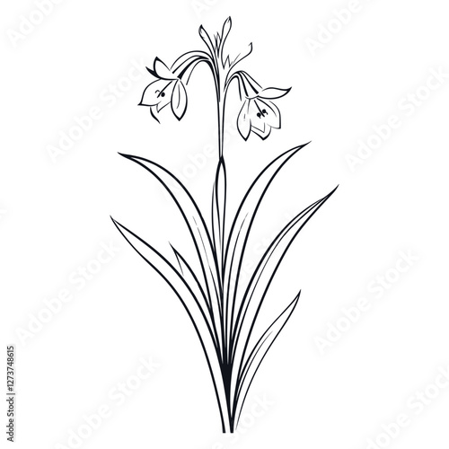 Bluebell art illustration drawing vector