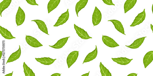 Green leaves seamless pattern vector illustration. Different basil or herb salad leaf repeated ornament. Design for textil, fabric, background and vegetarian packaging. Eco backdrop.