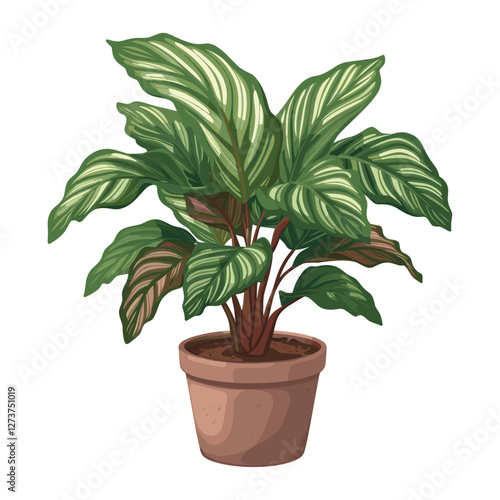 Potted calathea plant illustration potted leaves vector