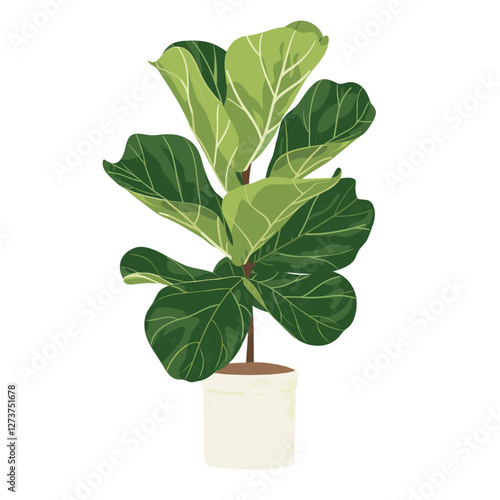Potted fiddle leaf fig plant illustration potted botanical vector