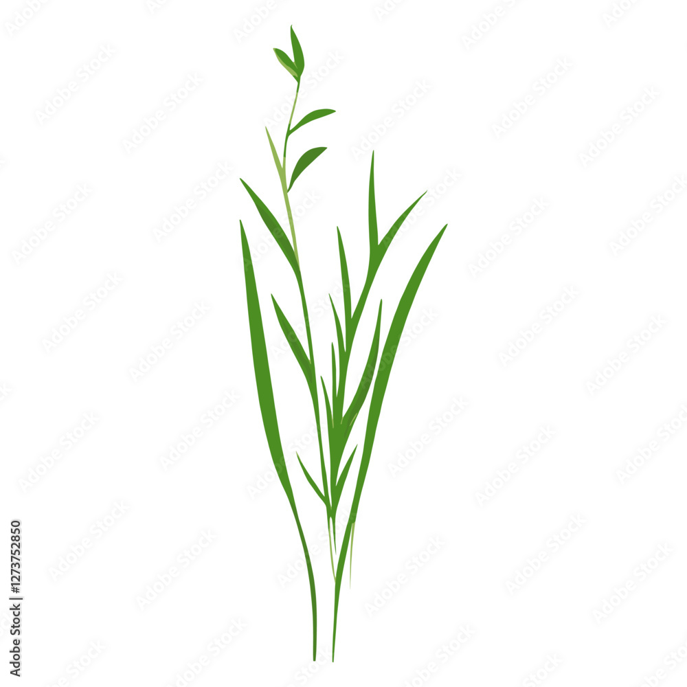 Fototapeta premium Flat vector of wild grass illustration plant green vector