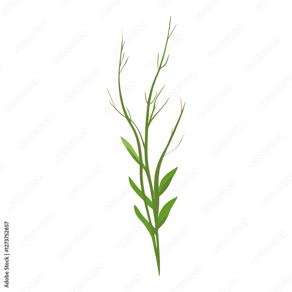 Flat vector of wild grass art illustration plant vector Flat vector of wild grass art illustration plant vector