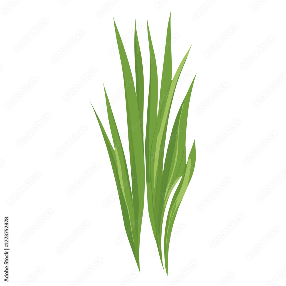 Flat vector of wild grass green leaf illustration vector Flat vector of wild grass green leaf illustration vector