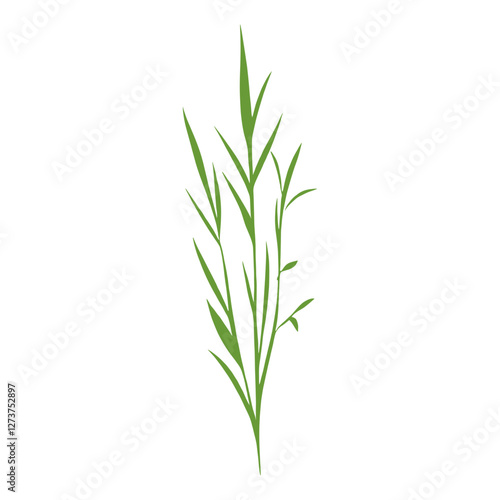 Flat vector of wild grass leaves leaf illustration vector