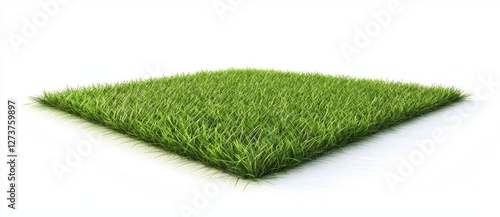 A square surface filled with green grass, set against a white backdrop, makes for a realistic natural element in design, captured in a vibrant 3D illustration